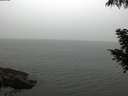./images/koeye/fitz-hugh/20200919/fitz-hugh20200919_110501.jpg