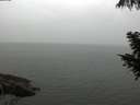 ./images/koeye/fitz-hugh/20200919/fitz-hugh20200919_111501.jpg