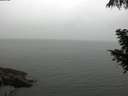 ./images/koeye/fitz-hugh/20200919/fitz-hugh20200919_112501.jpg