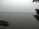 ./images/koeye/fitz-hugh/20200919/fitz-hugh20200919_114002.jpg