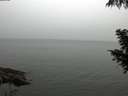 ./images/koeye/fitz-hugh/20200919/fitz-hugh20200919_115002.jpg