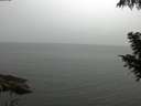 ./images/koeye/fitz-hugh/20200919/fitz-hugh20200919_115502.jpg