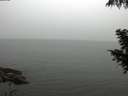 ./images/koeye/fitz-hugh/20200919/fitz-hugh20200919_120502.jpg