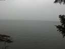./images/koeye/fitz-hugh/20200919/fitz-hugh20200919_121502.jpg