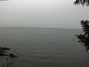 ./images/koeye/fitz-hugh/20200919/fitz-hugh20200919_122502.jpg