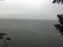 ./images/koeye/fitz-hugh/20200919/fitz-hugh20200919_123501.jpg