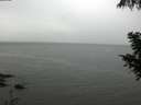 ./images/koeye/fitz-hugh/20200919/fitz-hugh20200919_124001.jpg