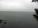 ./images/koeye/fitz-hugh/20200919/fitz-hugh20200919_124501.jpg