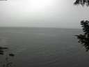 ./images/koeye/fitz-hugh/20200919/fitz-hugh20200919_125001.jpg