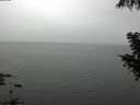 ./images/koeye/fitz-hugh/20200919/fitz-hugh20200919_125501.jpg
