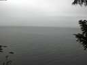 ./images/koeye/fitz-hugh/20200919/fitz-hugh20200919_130501.jpg