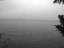 ./images/koeye/fitz-hugh/20200919/fitz-hugh20200919_131501.jpg