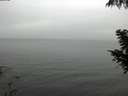 ./images/koeye/fitz-hugh/20200919/fitz-hugh20200919_132001.jpg