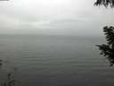 ./images/koeye/fitz-hugh/20200919/fitz-hugh20200919_132501.jpg