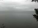 ./images/koeye/fitz-hugh/20200919/fitz-hugh20200919_134001.jpg