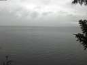 ./images/koeye/fitz-hugh/20200919/fitz-hugh20200919_135001.jpg