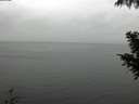 ./images/koeye/fitz-hugh/20200919/fitz-hugh20200919_135501.jpg