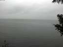 ./images/koeye/fitz-hugh/20200919/fitz-hugh20200919_140002.jpg