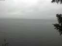 ./images/koeye/fitz-hugh/20200919/fitz-hugh20200919_140501.jpg