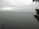 ./images/koeye/fitz-hugh/20200919/fitz-hugh20200919_141001.jpg