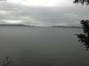 ./images/koeye/fitz-hugh/20200919/fitz-hugh20200919_144002.jpg