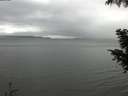 ./images/koeye/fitz-hugh/20200919/fitz-hugh20200919_145502.jpg