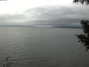 ./images/koeye/fitz-hugh/20200919/fitz-hugh20200919_151502.jpg