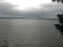 ./images/koeye/fitz-hugh/20200919/fitz-hugh20200919_153502.jpg