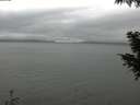 ./images/koeye/fitz-hugh/20200919/fitz-hugh20200919_154002.jpg