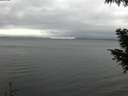 ./images/koeye/fitz-hugh/20200919/fitz-hugh20200919_155001.jpg
