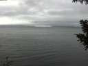 ./images/koeye/fitz-hugh/20200919/fitz-hugh20200919_155501.jpg