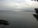 ./images/koeye/fitz-hugh/20200919/fitz-hugh20200919_181502.jpg