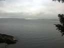 ./images/koeye/fitz-hugh/20200919/fitz-hugh20200919_184002.jpg