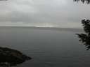 ./images/koeye/fitz-hugh/20200919/fitz-hugh20200919_192501.jpg