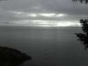 ./images/koeye/fitz-hugh/20200919/fitz-hugh20200919_200501.jpg