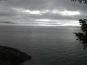 ./images/koeye/fitz-hugh/20200919/fitz-hugh20200919_201001.jpg