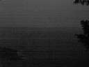 ./images/koeye/fitz-hugh/20200920/fitz-hugh20200920_063501.jpg