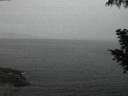 ./images/koeye/fitz-hugh/20200920/fitz-hugh20200920_064001.jpg