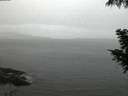 ./images/koeye/fitz-hugh/20200920/fitz-hugh20200920_064501.jpg