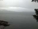 ./images/koeye/fitz-hugh/20200920/fitz-hugh20200920_065001.jpg