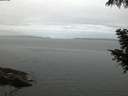 ./images/koeye/fitz-hugh/20200920/fitz-hugh20200920_065501.jpg