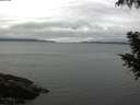 ./images/koeye/fitz-hugh/20200920/fitz-hugh20200920_075501.jpg