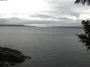 ./images/koeye/fitz-hugh/20200920/fitz-hugh20200920_080001.jpg