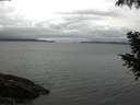 ./images/koeye/fitz-hugh/20200920/fitz-hugh20200920_080501.jpg