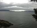 ./images/koeye/fitz-hugh/20200920/fitz-hugh20200920_082501.jpg