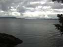 ./images/koeye/fitz-hugh/20200920/fitz-hugh20200920_092002.jpg