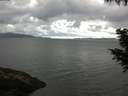 ./images/koeye/fitz-hugh/20200920/fitz-hugh20200920_095501.jpg