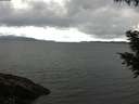 ./images/koeye/fitz-hugh/20200920/fitz-hugh20200920_101501.jpg