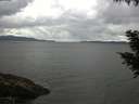 ./images/koeye/fitz-hugh/20200920/fitz-hugh20200920_104501.jpg