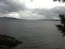 ./images/koeye/fitz-hugh/20200920/fitz-hugh20200920_105001.jpg
